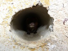 Прикольные и смешные картинки