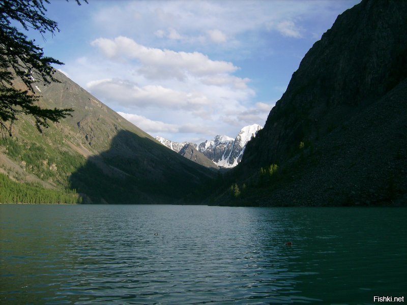 Фотка из палатки)) Шавлинские озера (нижнее). Алтай. И там же средняя Катунь и Чуйский тракт