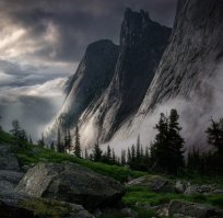 не моё. с просторов инета. Ергаки, Спящий Саян. и просто кедр