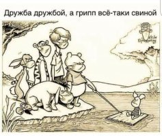 Прикольные картинки