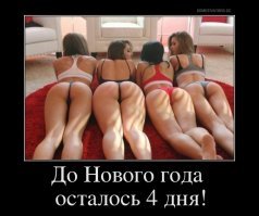 Прикольные и смешные картинки