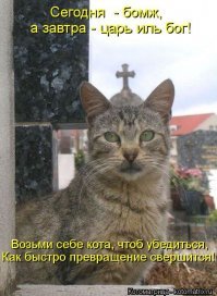 Подборка странного и нестандартного юмора