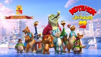 Зимний Воронеж с воздуха