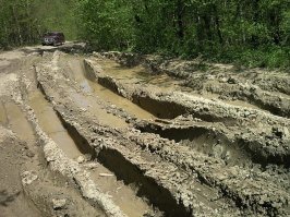 15 особенностей Южной Кореи, которые надолго выбьют вас из колеи