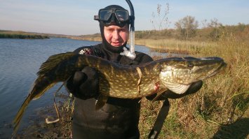 мои трофеи:)