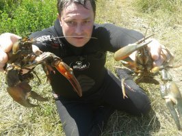 мои трофеи:)