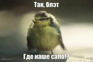 Картинки с надписями для настроения