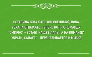 По стойке смирно