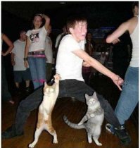 По стойке смирно