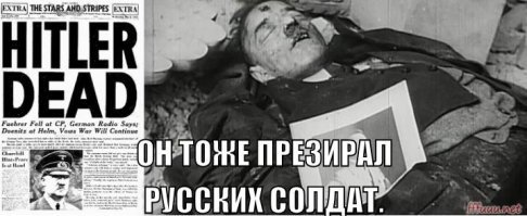 Прикольные и смешные картинки