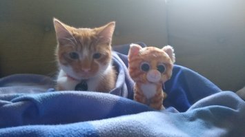 Фото, которые снимут усталость после тяжелого дня лучше любых лекарств