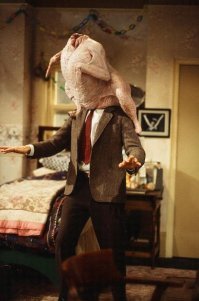 Петух размером с человека