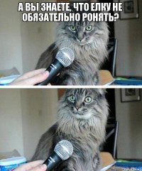 Каждый-каждый Новый год кот, конечно, ёлку ждёт