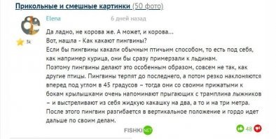 Фишки познавательные)) Спасибо, сегодня я узнала что-то новое для себя)))
