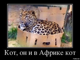Улыбайтесь