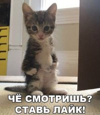 Демотивируй