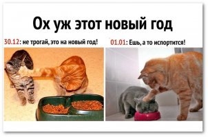 Демотивируй