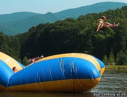 Прикольные и смешные картинки