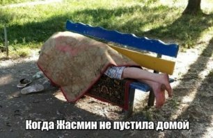 походу жасмин выбрала абу