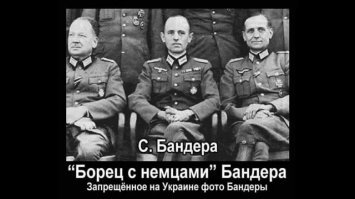 Плохо знаешь историю своей обожаемой педерастичной "козявки-поппеля"