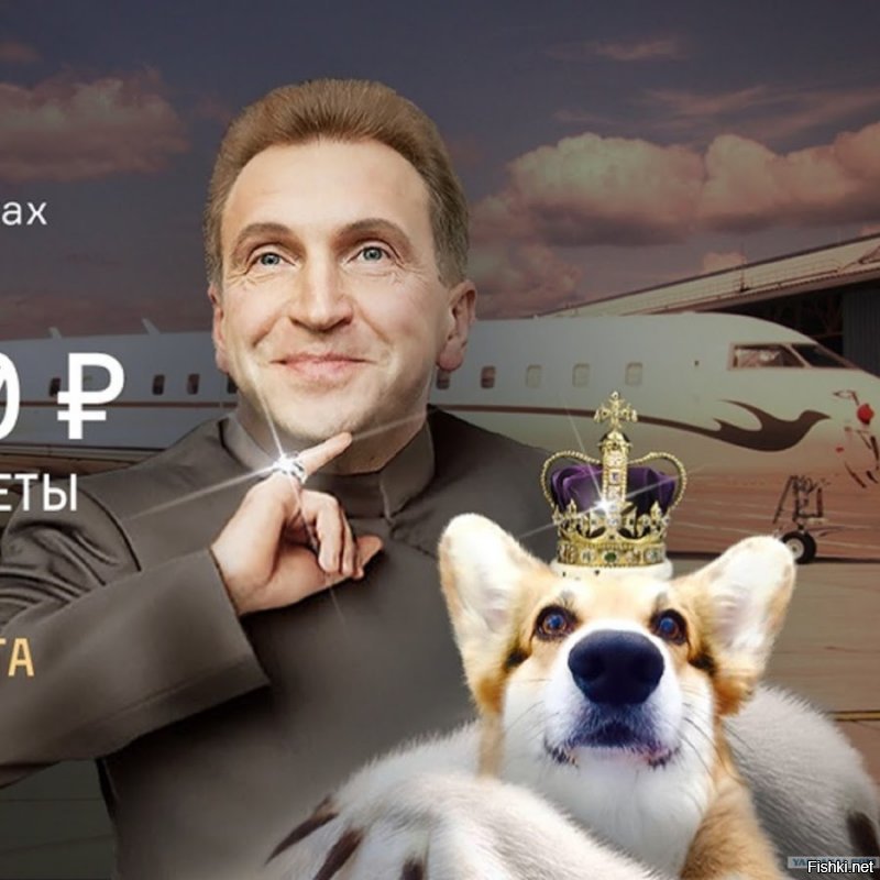 Корги - самые очаровательные собаки на Земле!