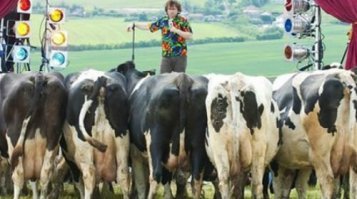 Прикольные и смешные картинки