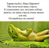 Прикольные и смешные картинки