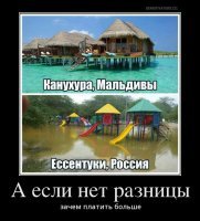 Прикольные и смешные картинки
