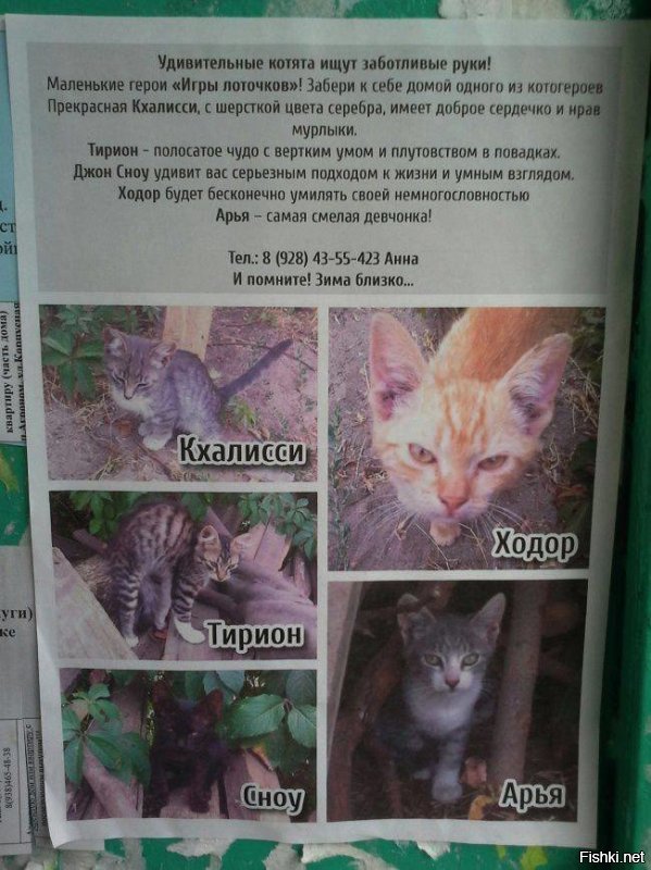 Котовсячина