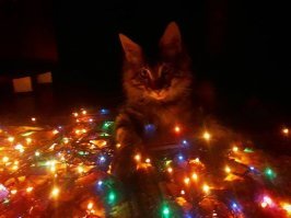 Настало время новогодних историй!