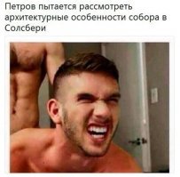 "Ты, Петров, шпиль в Солсбери так нихрена и не увидел..."