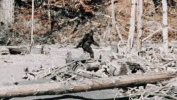 А зачем? Если снимать в хорошем качестве, то никто не поверит.