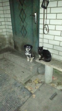 мы вас тут подождём