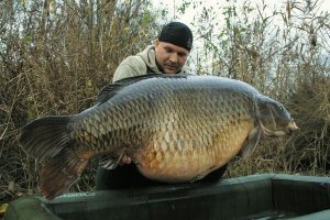 Ага, типа 200 кг на руках держит.