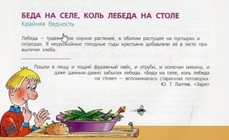 Пять главных суперфудов 2018 года, которые обещают оздоровить весь организм