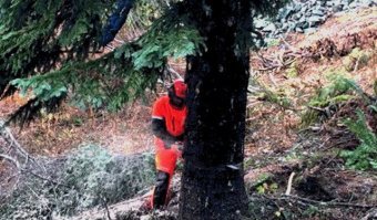 Сначала подумал, что кадр из Планеты Обезьян.