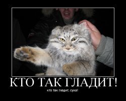 Улыбнитесь