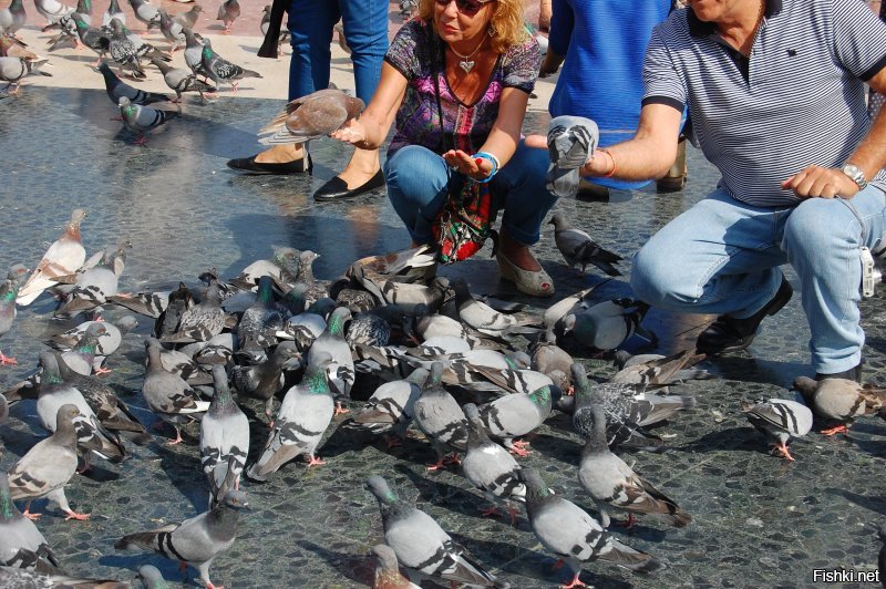 С вашего позволения размещу несколько своих снимков Путалоны :).