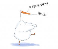 Американский гусь показал, чем грозит передозировка антидепрессантов