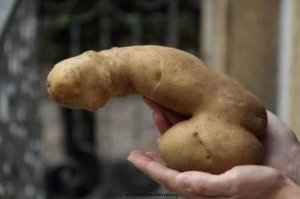 В лучших традициях: стало известно, что Лукашенко подарил Путину на Новый год