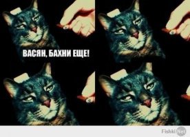 Психоделические оптические иллюзии, которые собьют с толку любого