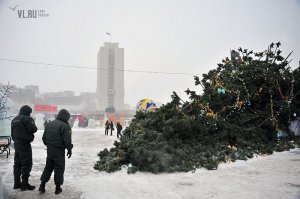 Было приятно узнать на первом фото родные места детства - Владивосток. А вот с новогодней елкой во Владивостоке было связано еще одно событие - в 2009 году эта елка (на которую потратили около 10 млн рублей) рухнула. Кстати в 2013 году история повторилась)). Вот такая слава у владивостокских елок на центральной площади.