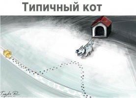 Пин-ап-девушки против кошек в борьбе за вашу любовь