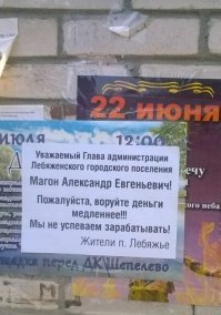 Засранцы и дятлы: соседи, которые портят нашу жизнь