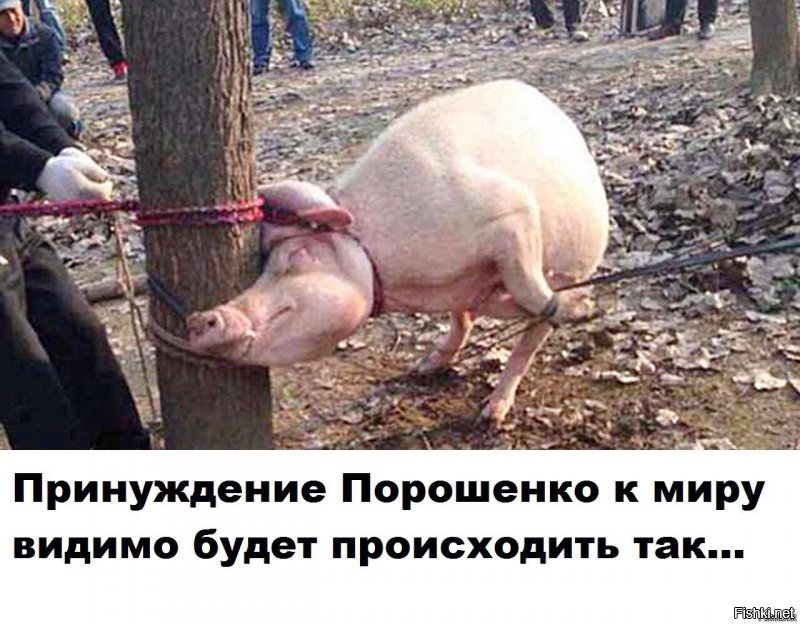 Владычица морская, или Как Порошенко хапнул чужие морские мили