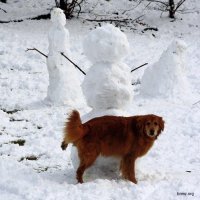 Прикольные и смешные картинки