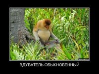 Картинки с надписями