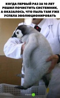 Картинки с надписями