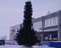 На праздник к нам пришла: самые странные и ужасные елки России, которыми провожают 2018 год