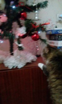 Контрольная проверка